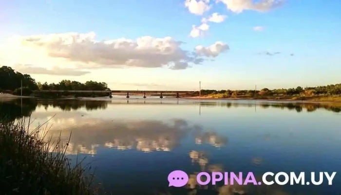 Parque Del Plata Norte -  Sitio Web - Parque del Plata