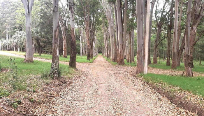 Parque Francisco Davant - Villa Del Carmen