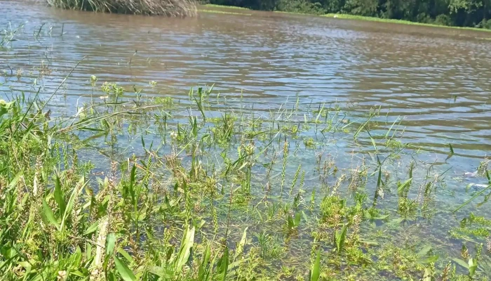 Parque Gral Fructuoso Rivera Comentario 3 - Parque