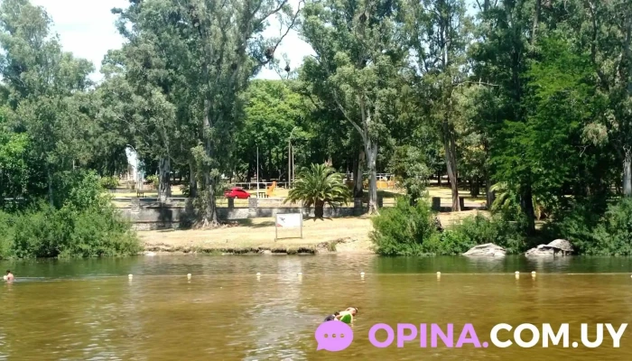 Parque Robaina - Av. Zelmar Michelini