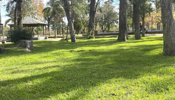 Parque Zorrilla De San Martín - Juana De Ibarbourou