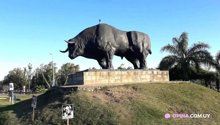 Paso De Los Toros:  Videos - Restaurante