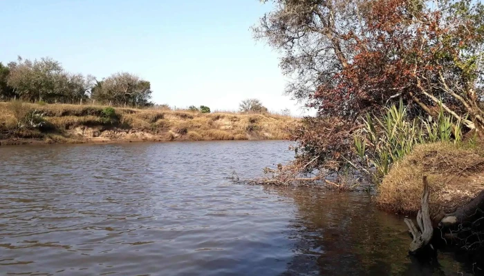 Paso de piriz - Vergara