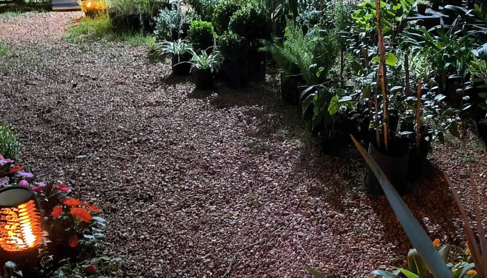 Patio Almacen De Plantas Las Toscas - Las Toscas