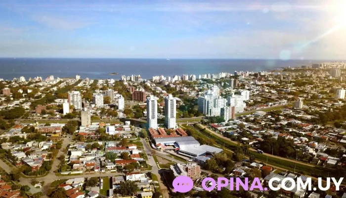 Patricia Campiglia Inmuebles -  Direccion - Montevideo