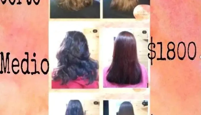 Pau Alisados - Departamento De Rocha