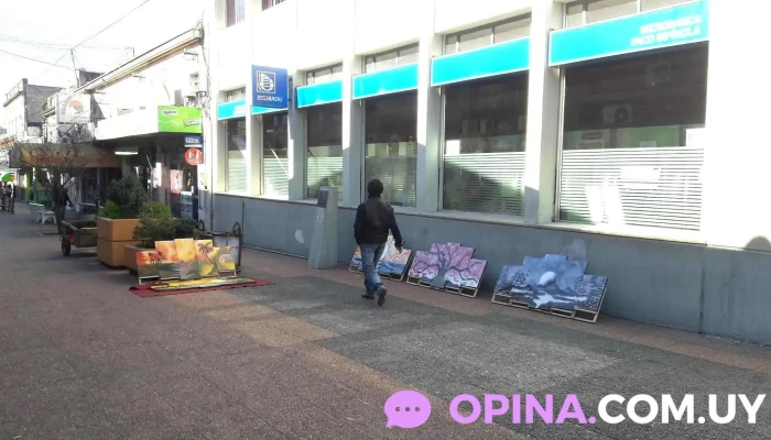 Peatonal san Jose - 80000 San José De Mayo