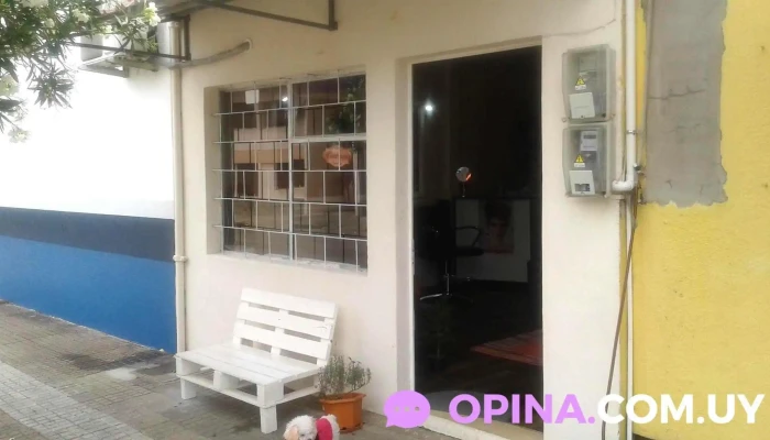 Peinados Mafalda De La Lore - Y