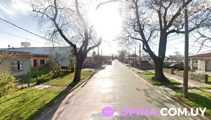 Pela Beer - 12900 Montevideo