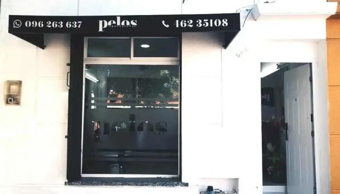 Pelos Profesional - 40000 Rivera