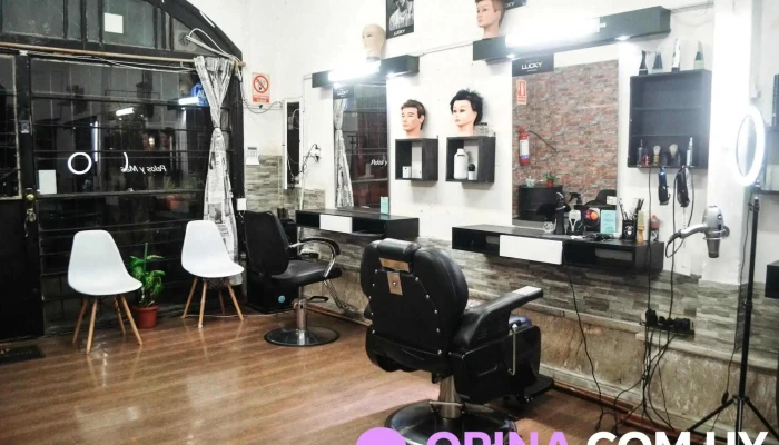 Pelos y Más estética masculina (2016) - 11400 Montevideo