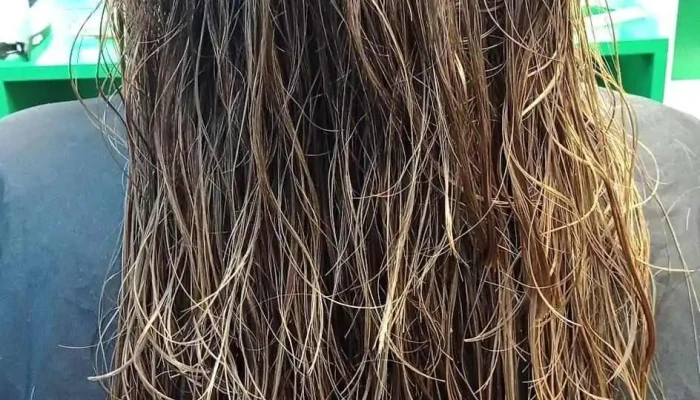 Peluquería a domicilio - Uruguay