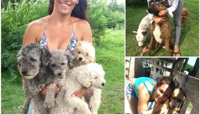 Peluquería Canina a Domicilo, Florida - 94000 Florida