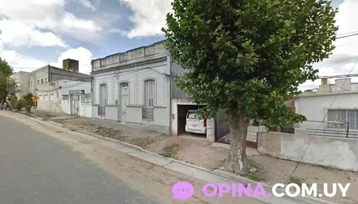 Peluquería Canina Barberdog - 94100 Sarandí Grande