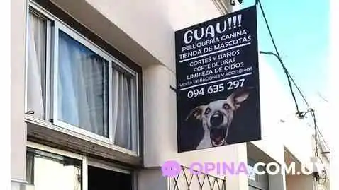 Peluqueria Canina Guau - 80000 San José De Mayo