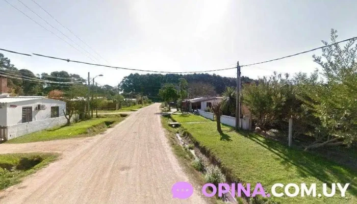 Peluquería canina Nuris - 27400 Puerto La Paloma