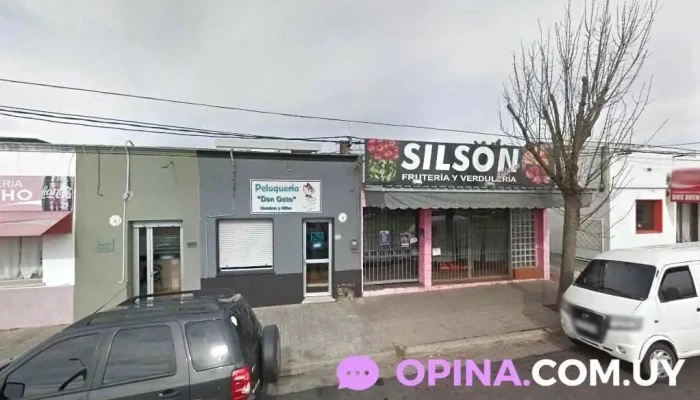 Peluqueria Don Gato - 70000 Col. Del Sacramento