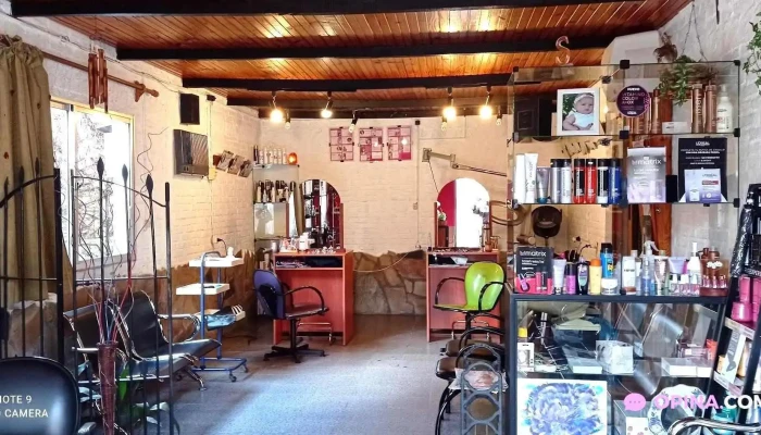 Peluqueria Les Coiffeurs Interior - Barbería