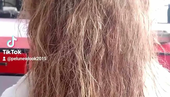 Peluquería New Look - Avenida Artigas &