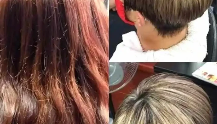 Peluqueria tia loca - 11200 Montevideo