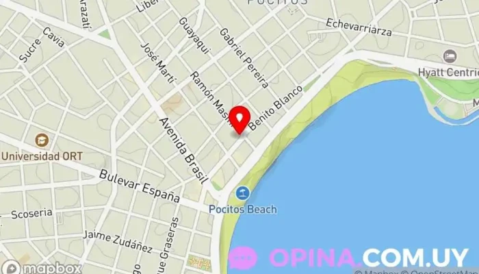 mapa de Pelusso Propiedades Negocios Inmobliliarios Agencia inmobiliaria en Montevideo