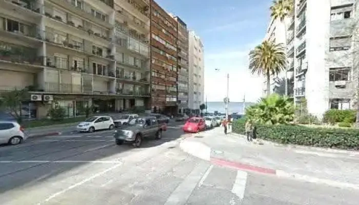 Pelusso Propiedades Negocios Inmobliliarios -  Telefonodeg - Montevideo