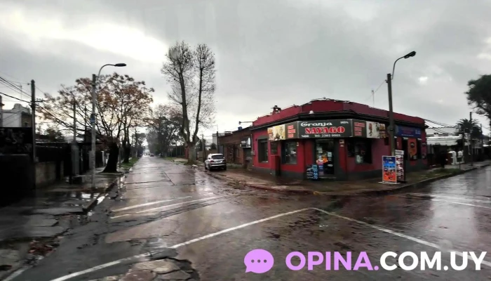 Peñarol - Montevideo