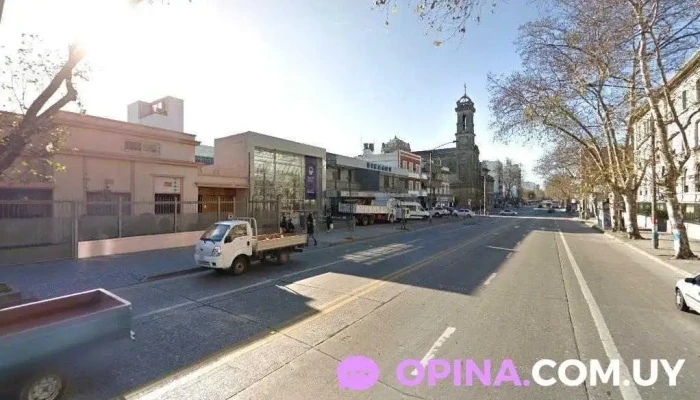 Pérdidas en Narnia - Montevideo