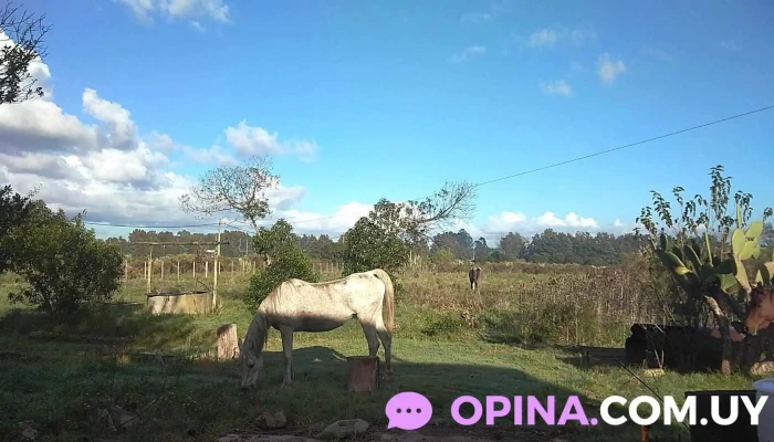 Perez -  Numero - Gral. Líber Seregni