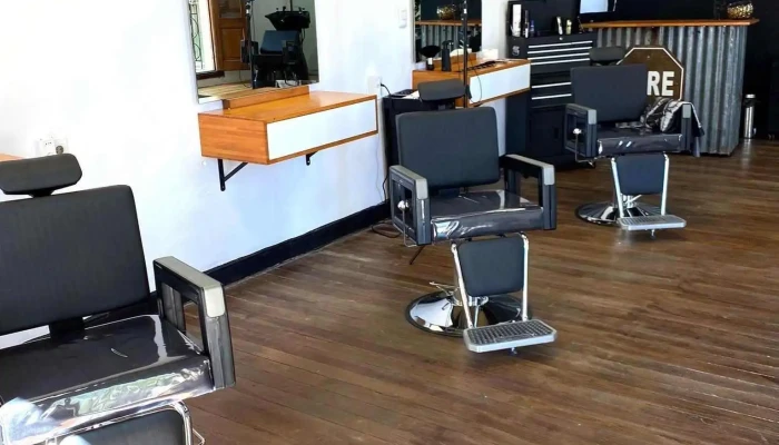 Perro Callejero - 70000 Col. Del Sacramento