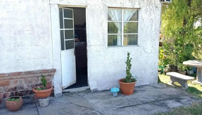 Perruqueria - Estetica Canina - Cam. Olazagasti