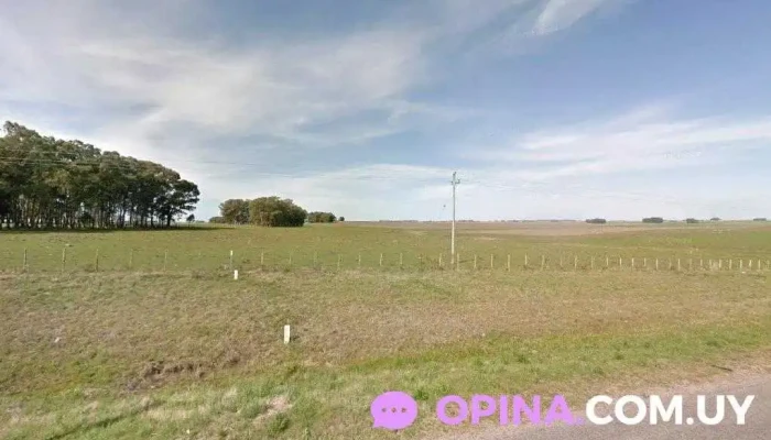 Persistir Sas - Carlos Reyles