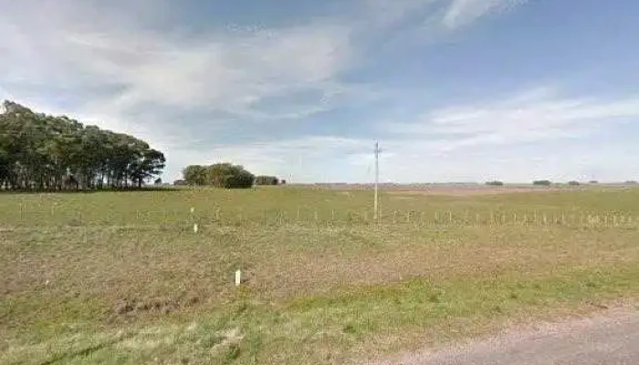 Persistir Sas -  Catalogo - Carlos Reyles