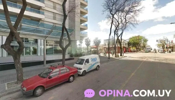 Pet Protection - Av. Mariscal Francisco Solano López 1482