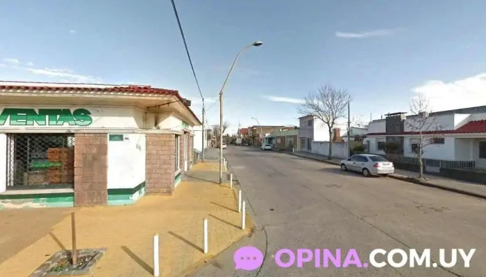 Pet Shop MAs que Bichos - 33000 Treinta Y Tres