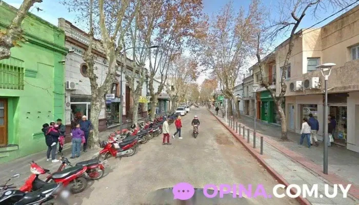 Petit Baby - 97000 Durazno