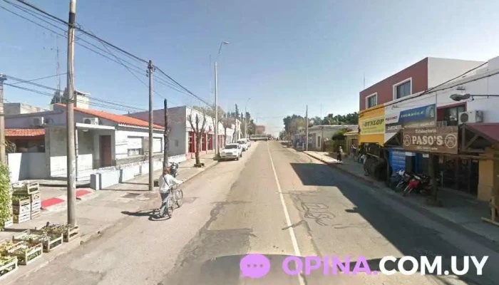 Petit Jardín Casa Central - 65100 Young