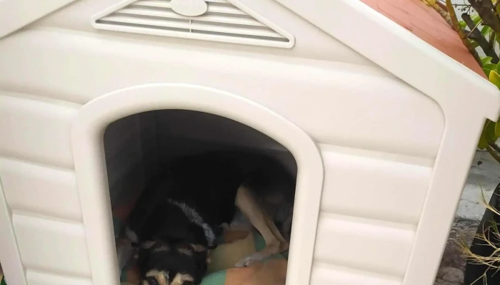 Pf Mobiliario -  Catalogo - Montevideo