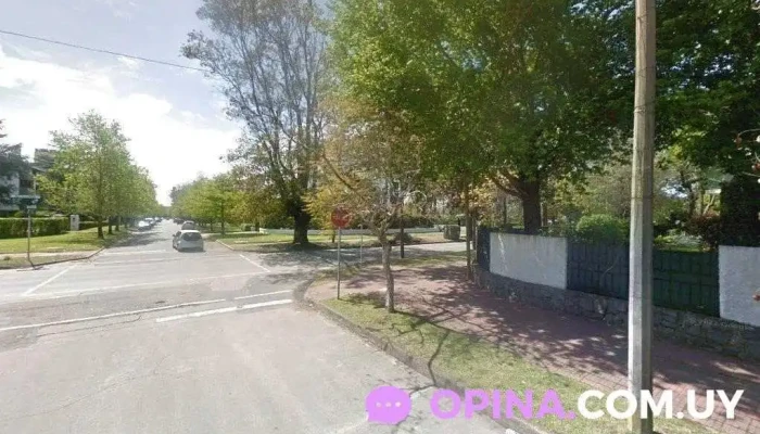 Pi Sudamérica, Proyectos Inmobiliarios - Montevideo