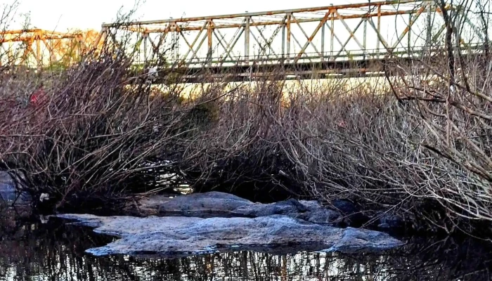 Piedra Alta -  Comentarios - Florida