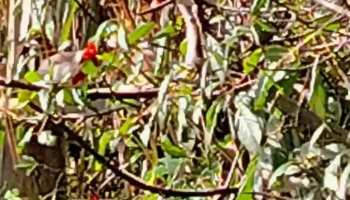 Pilates Lamorada Videos - Piriápolis