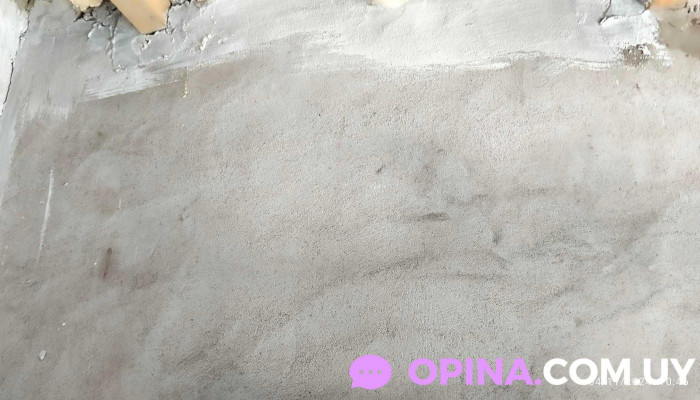 Pintores -  Del Propietario - San Carlos