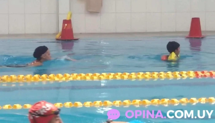 Piscina Climatizada Club Fraternidad E Intendencia Municipal De San Jose Piscina - San José de Mayo