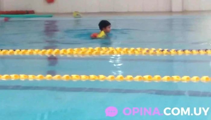 Piscina Climatizada Club Fraternidad E Intendencia Municipal De San Jose Videos - San José de Mayo