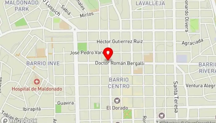 mapa de Pizzeria La Nueva Torre Restaurante en Maldonado