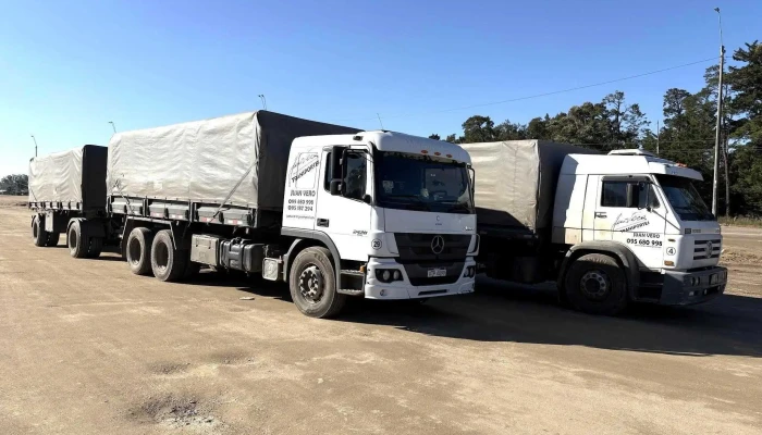 Planta Saman Vergara - 33002 Vergara