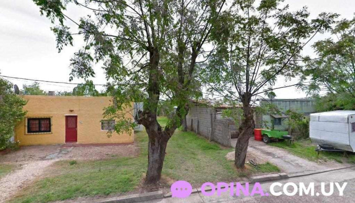 Plantas "El Mburucuyá" - 25 De Agosto