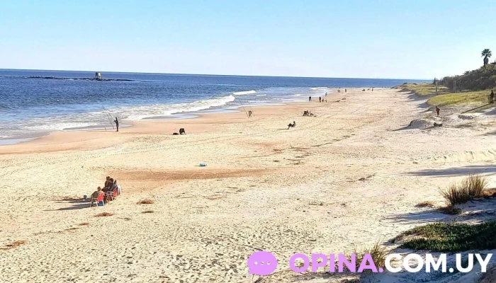 Playa Brava -  Mas Recientes - Departamento de Canelones