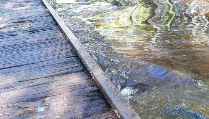 Playa Coquimbo - Palmitas