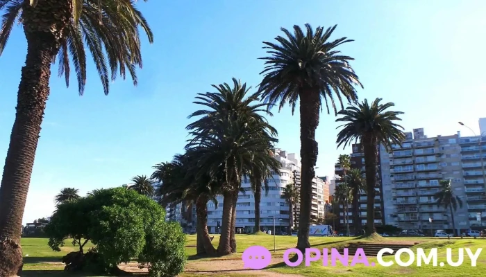 Playa Pocitos - Bajada Av. Brasil - Montevideo